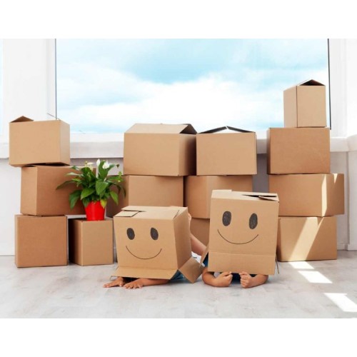 Thùng Carton đóng hàng