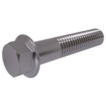 Bu lông liền long đền DIN 6921